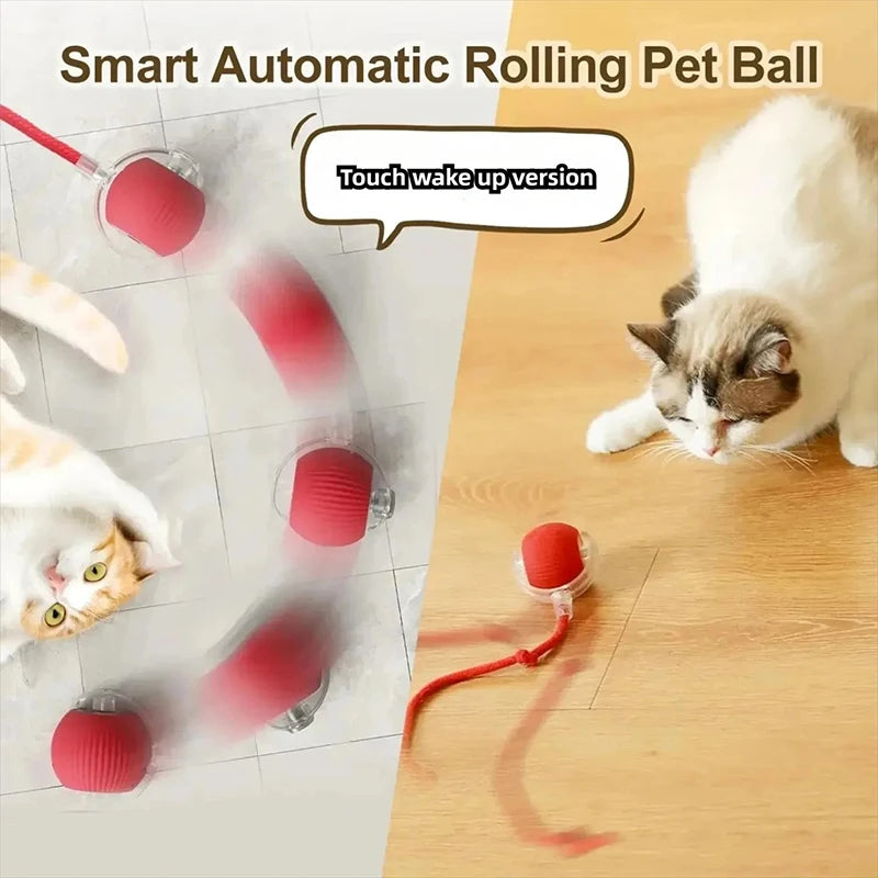 Balle Roulante Automatique pour Chat 🐾