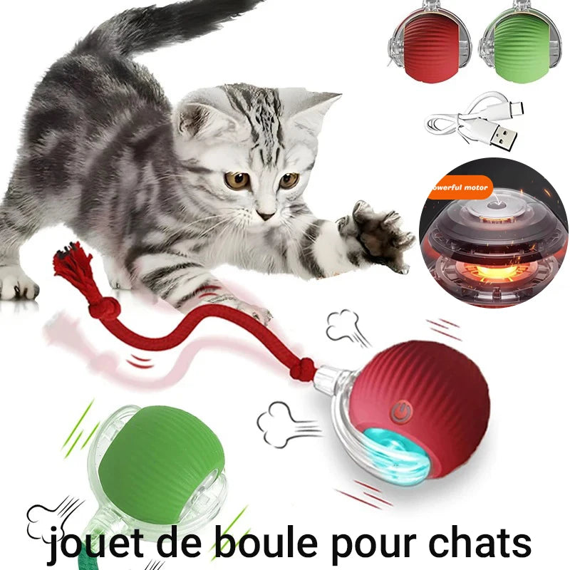 Balle Roulante Automatique pour Chat 🐾
