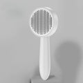 Brosse de massage pour le toilettage des chats🐾