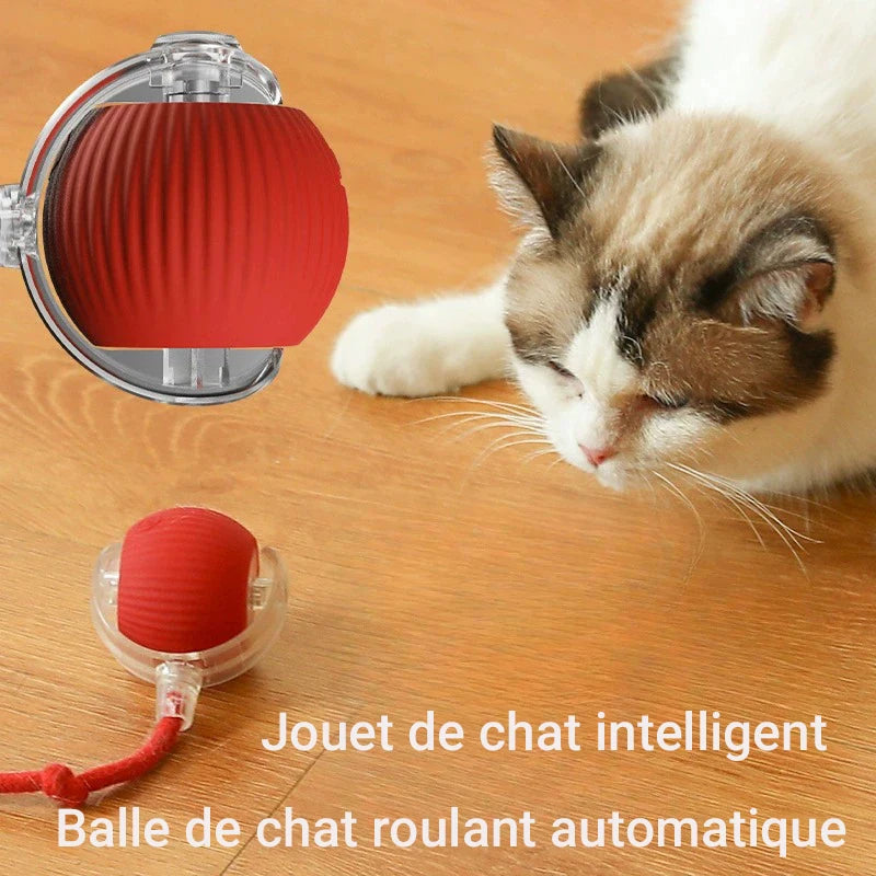 Balle Roulante Automatique pour Chat 🐾