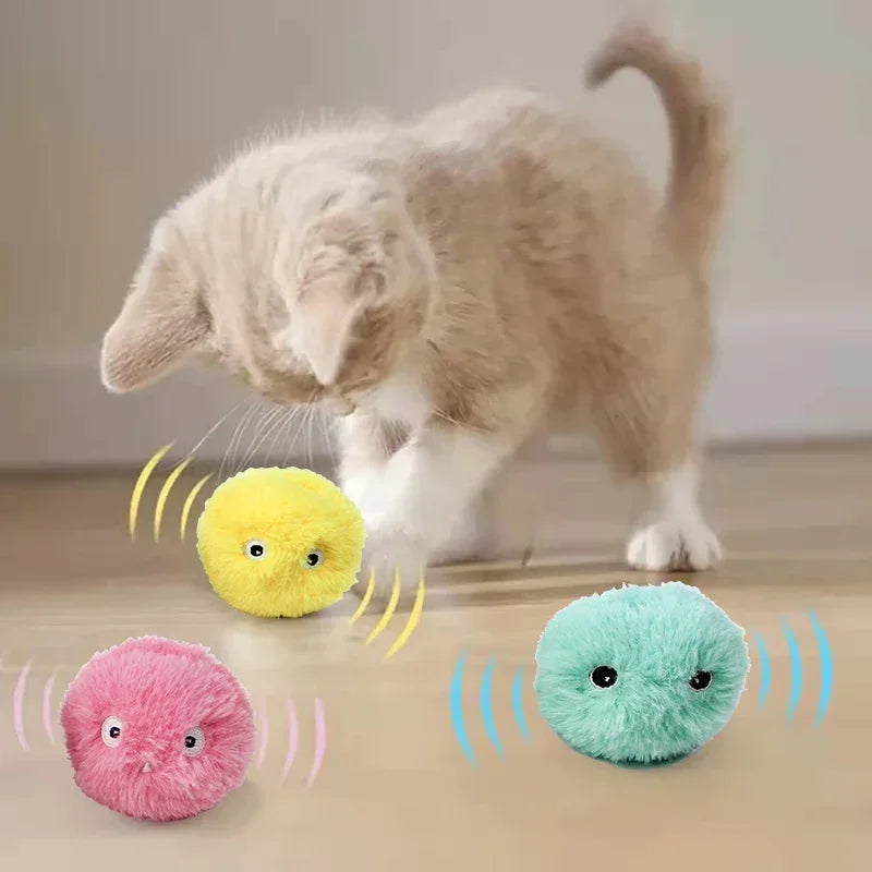 Balle Sonore Interactive 🐾