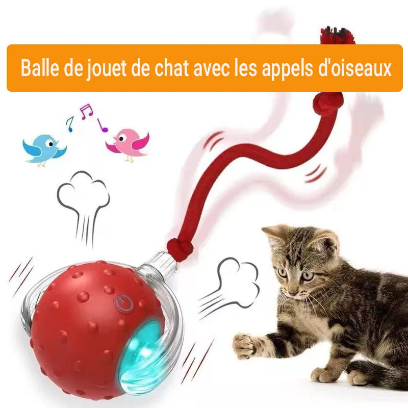 Balle Roulante Automatique pour Chat 🐾