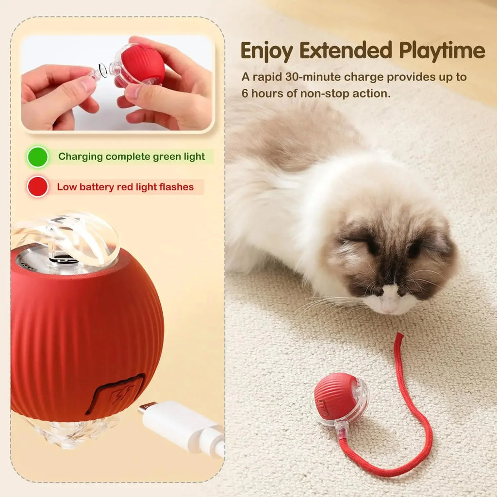Balle Roulante Automatique pour Chat 🐾