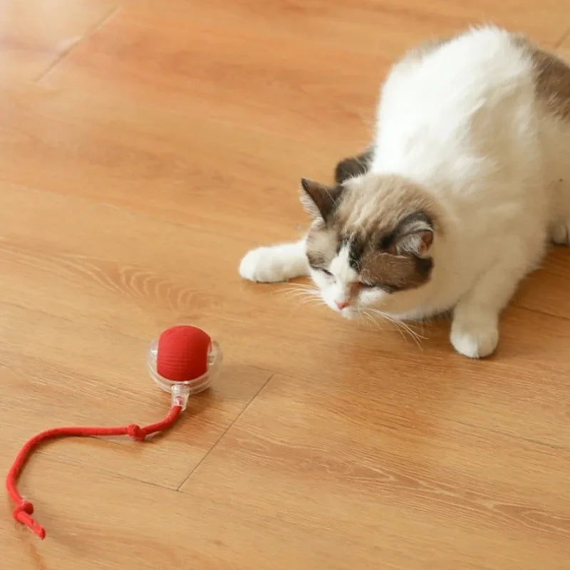 Balle Roulante Automatique pour Chat 🐾