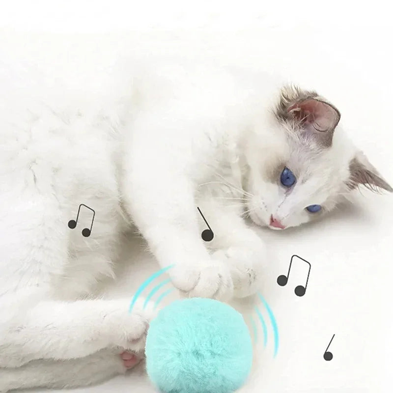 Balle Sonore Interactive 🐾